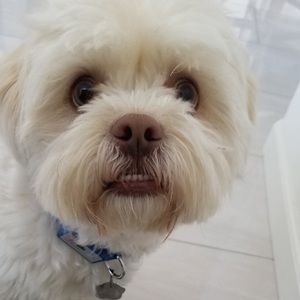 Meet your Posher, Mi